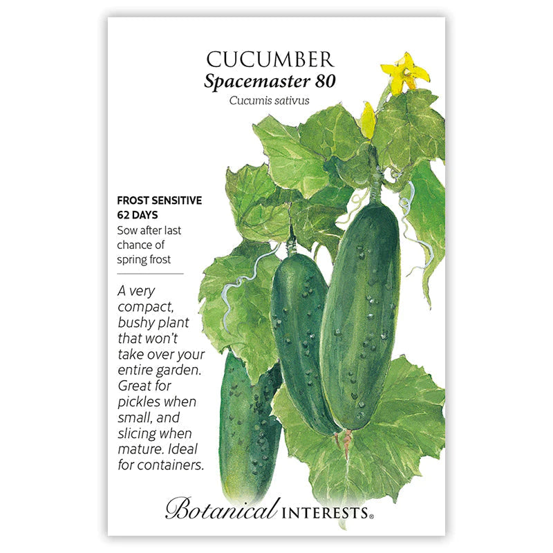 Cucumber Spacemaster 80