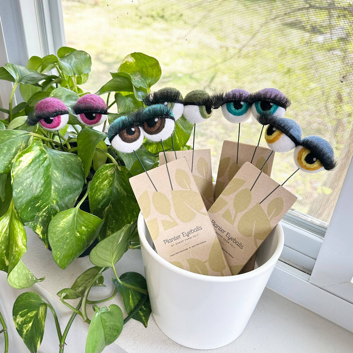 Felted Wool Planter Eyeballs with Eyelashes 