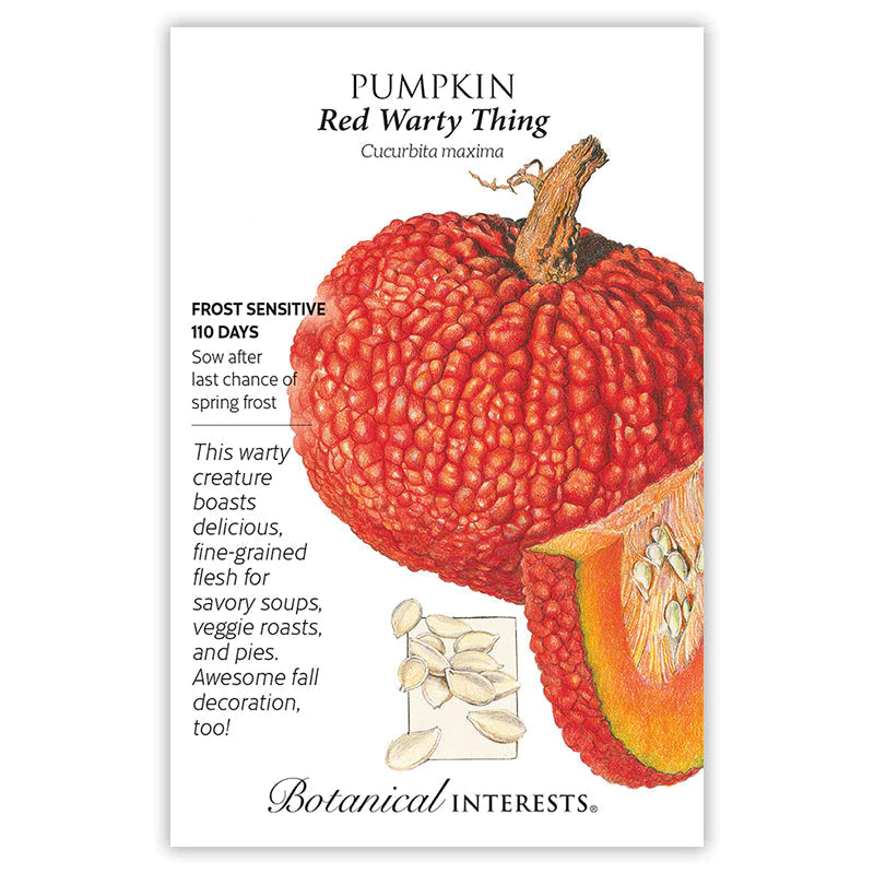 Pumpkin Red Warty Thing