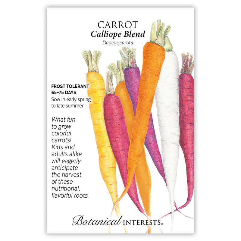 Carrot Calliope Blend