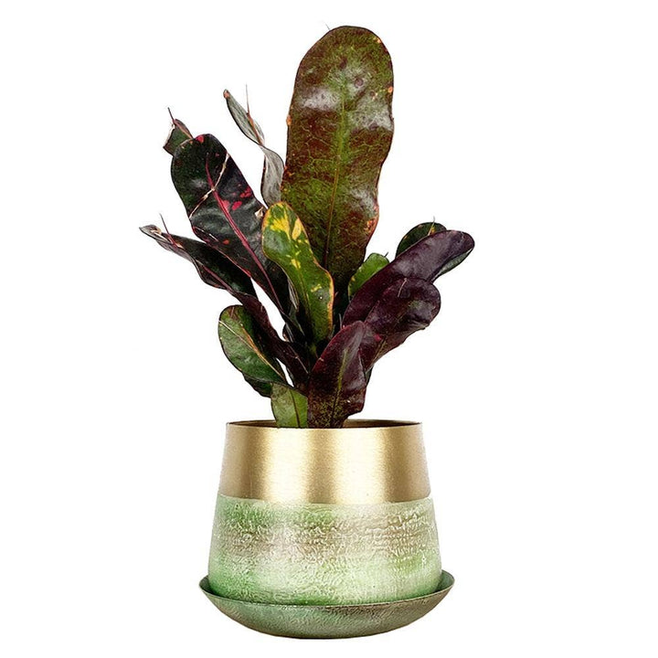 Joe Metal Flower Pots Plant Pot Decoration Bulk Kits