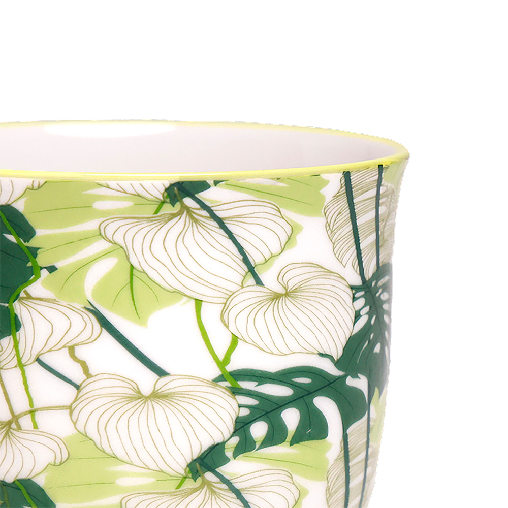 Liberte Indoor Porcelain Succulent Plant Pot 3 Inch Monstera