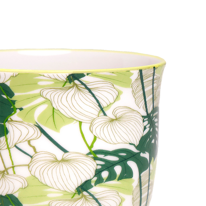 Liberte Indoor Porcelain Succulent Plant Pot 3 Inch Monstera
