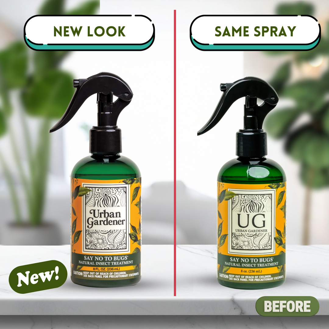 Say No To Bugs - Natural Houseplant Insect Treatment