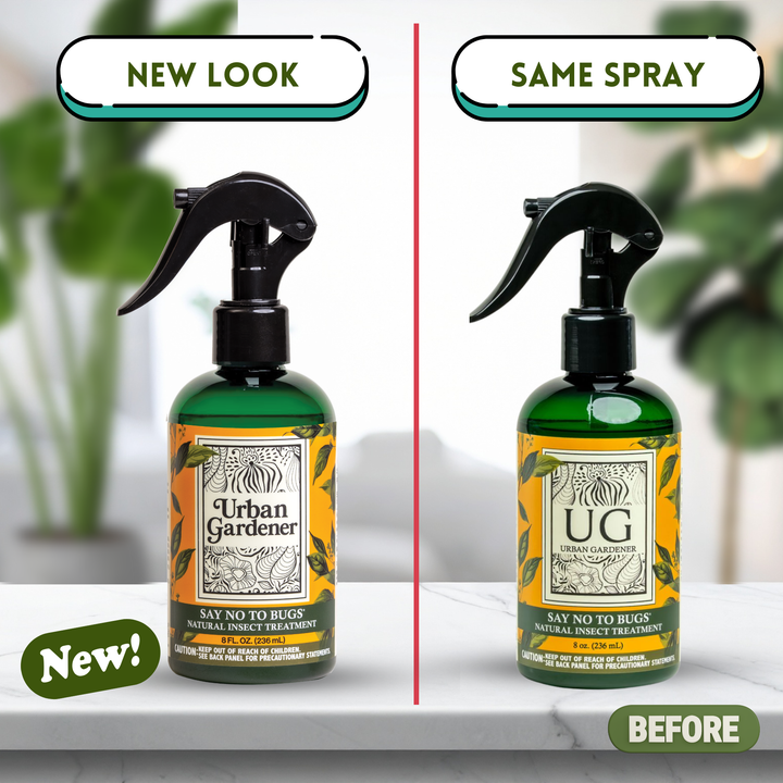 Say No To Bugs - Natural Houseplant Insect Treatment