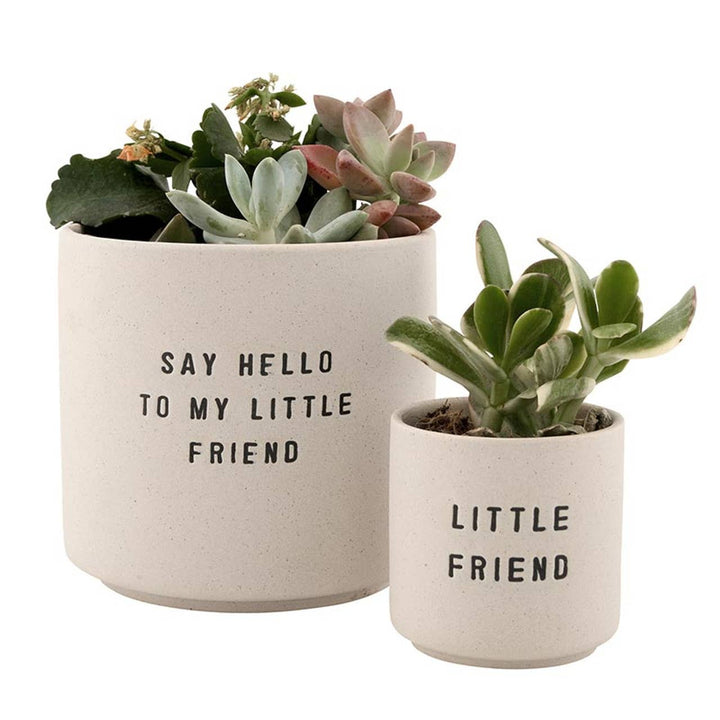 Ceramic Planting Pots - Choice of 2