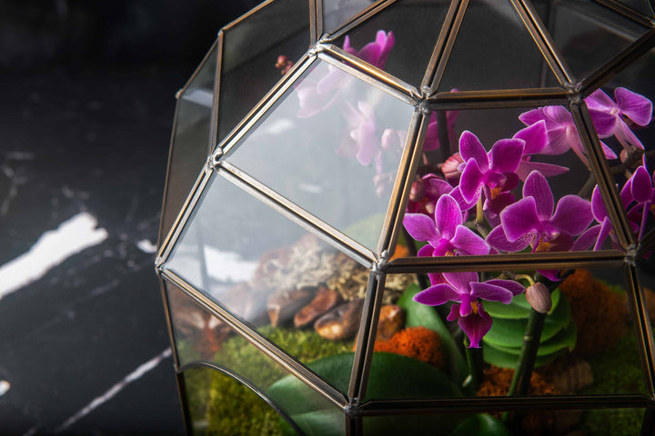 Solarium Glass Terrarium