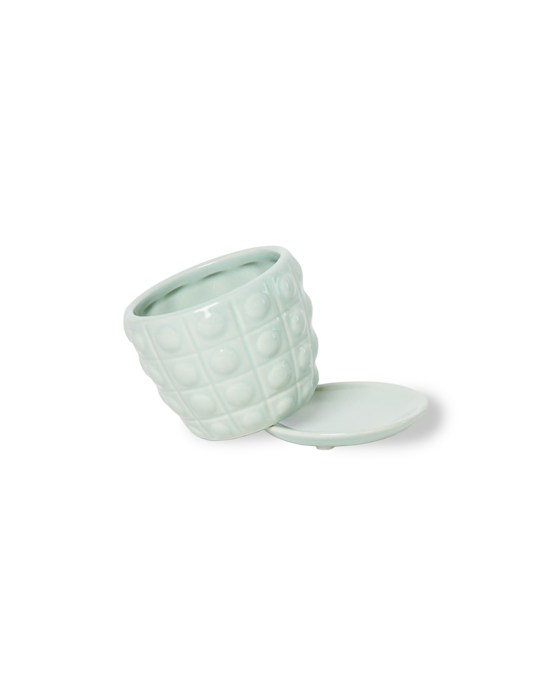 Convex Planter For Succulents And Cactus Pot With Saucer