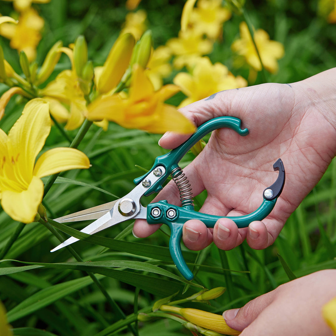 Garden Shears  - New Colors!