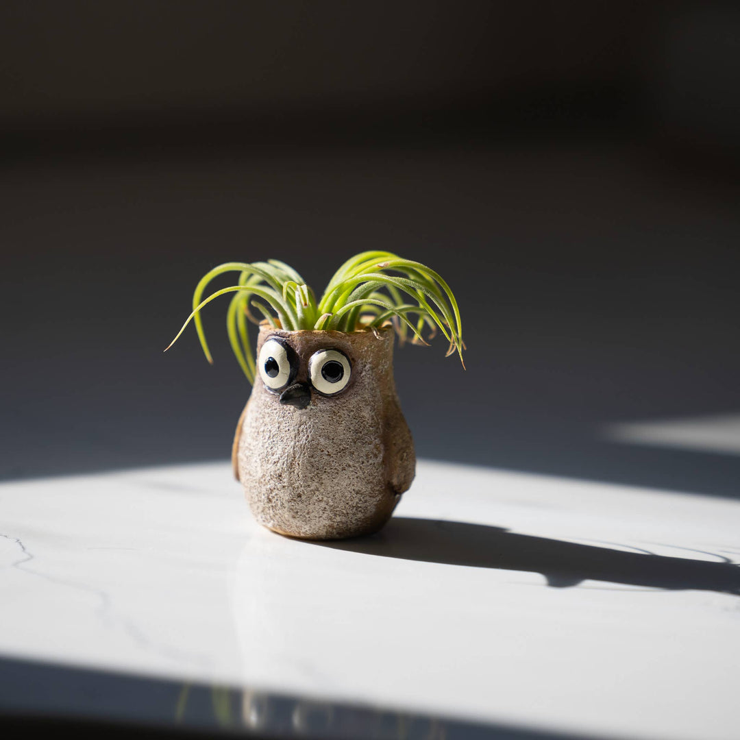 Baby Sandpiper Bird, Speck, Mini Blobhouse Planter