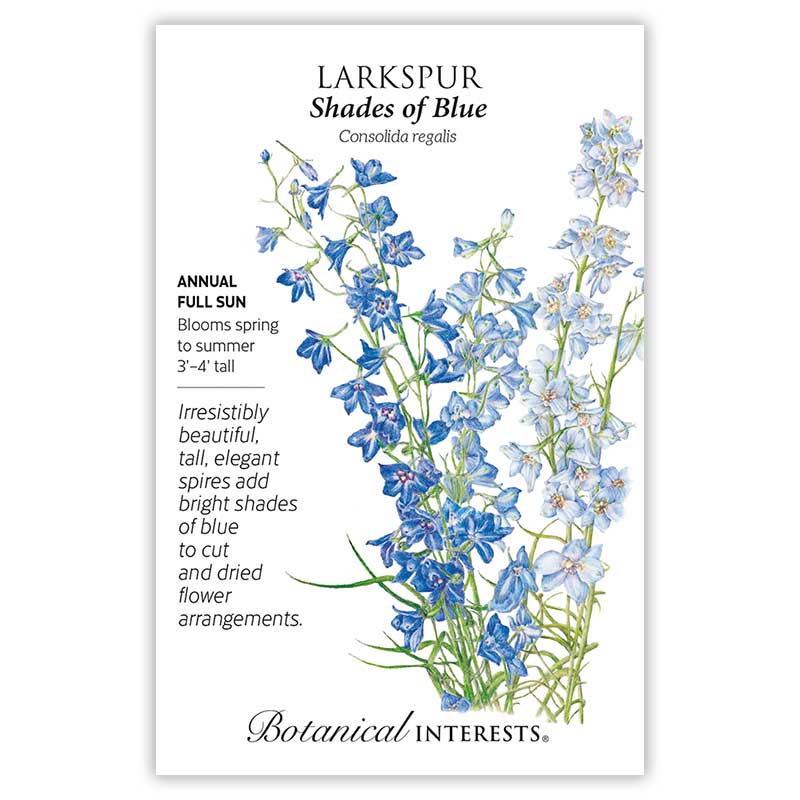 Larkspur Shades of Blue