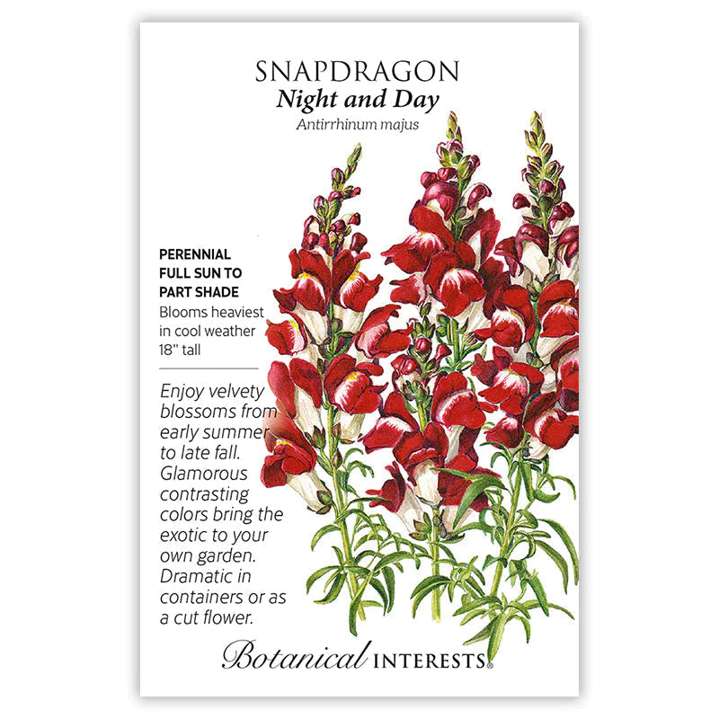Snapdragon Night and Day