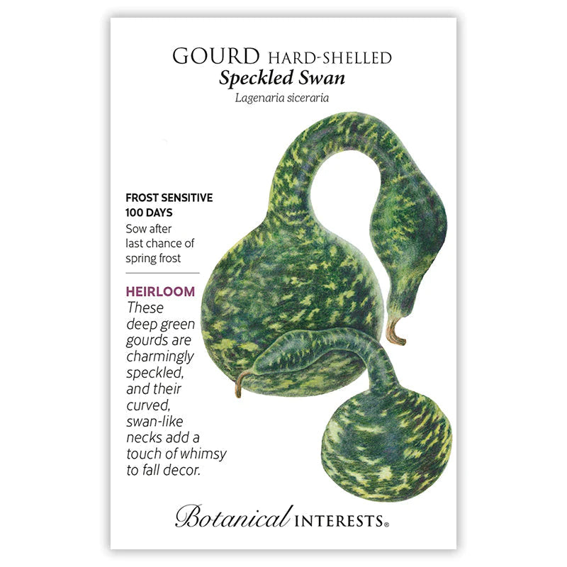 Gourd Hard-Shelled Speckled Swan