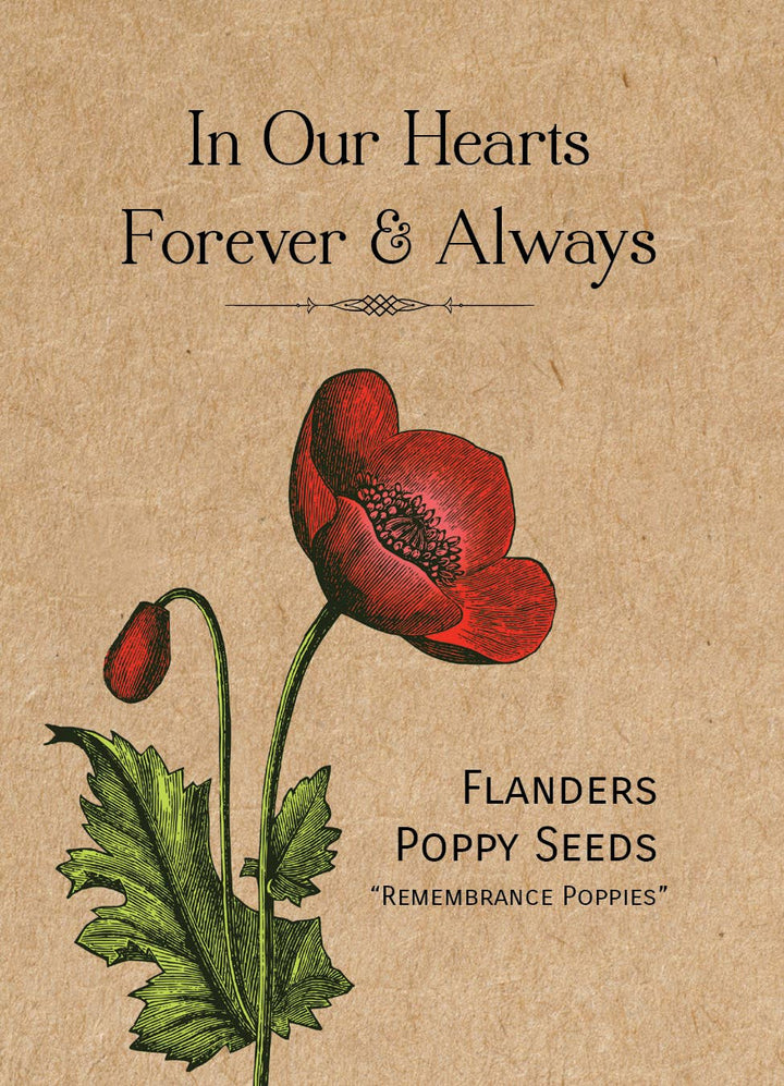 In Our Hearts Remembrance Memorial - Flanders Poppy