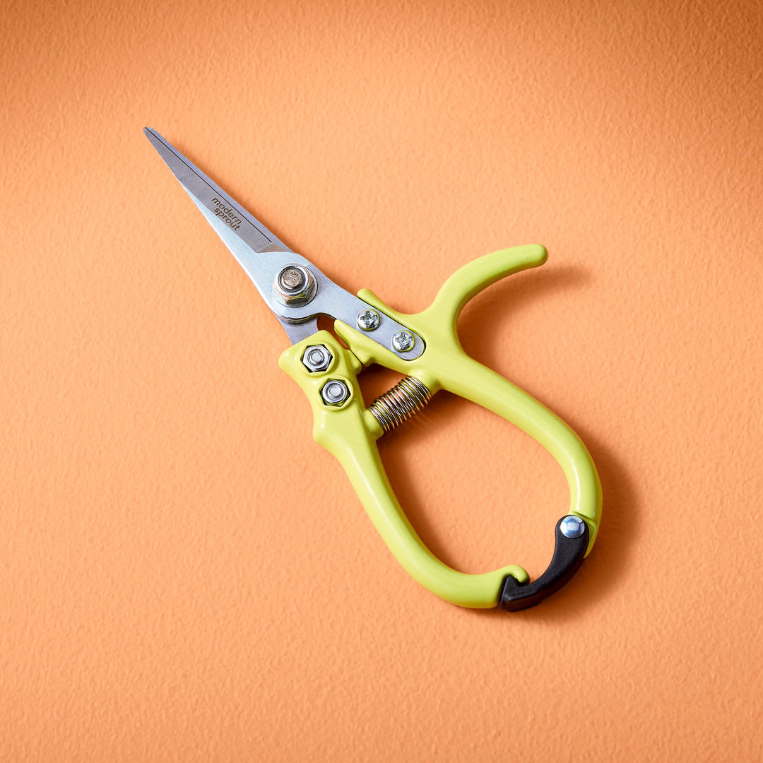 Garden Shears  - New Colors!