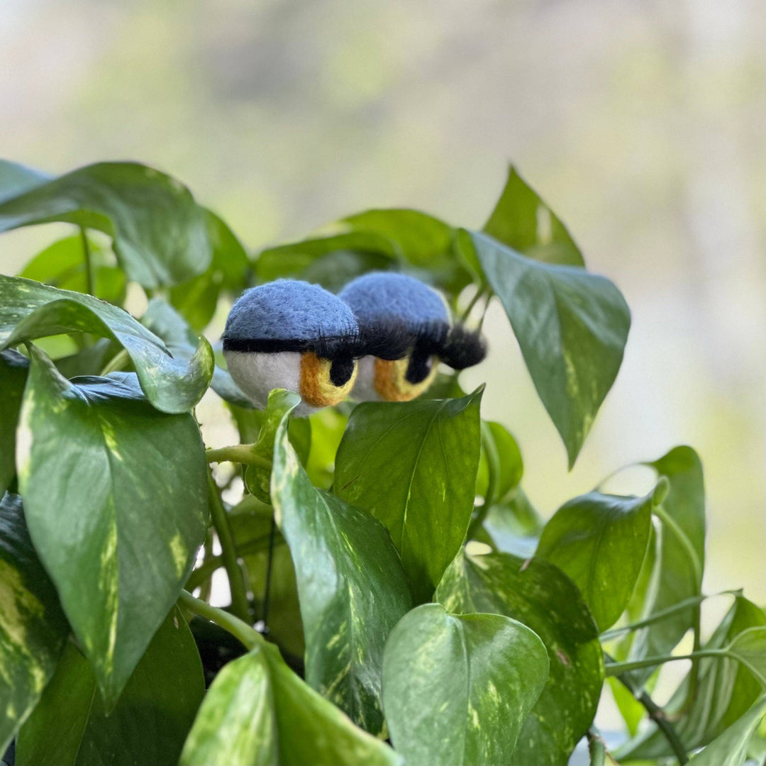 Felted Wool Planter Eyeballs with Eyelashes 