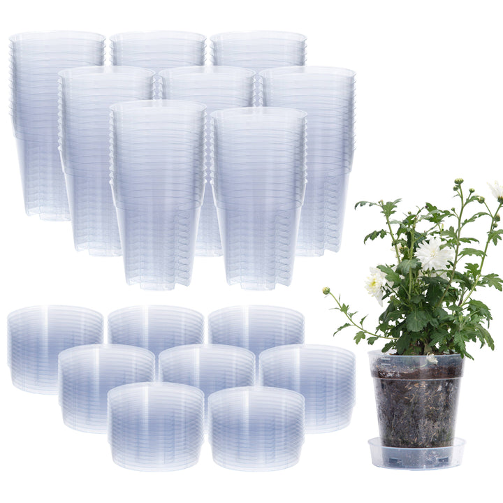 Clear Nursery Pot with an Interlocking Saucer, 6.5" X 7"