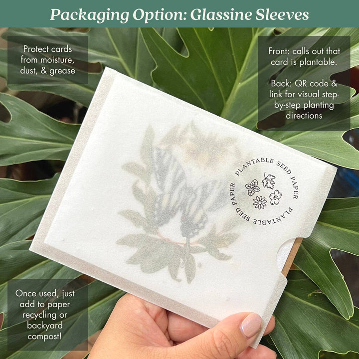 Echinacea Plantable Wildflower Seed Card