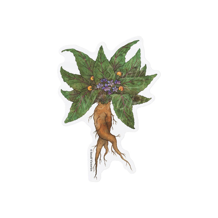 Eco-Sticker: Mandrake