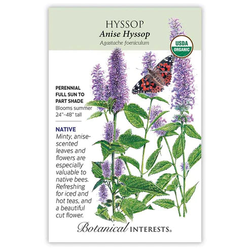 Hyssop Ansie Org