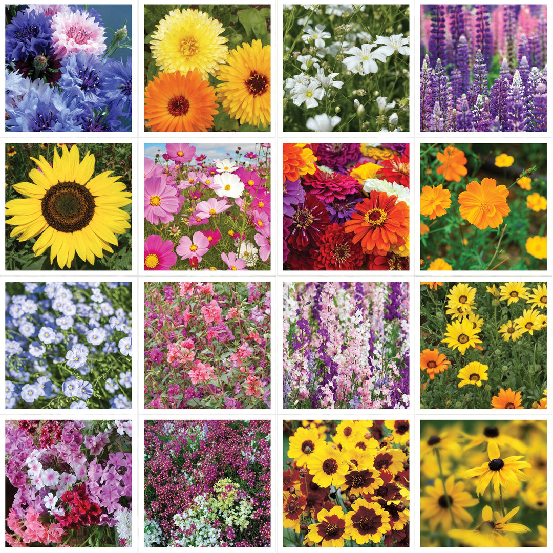 Help Pollinators Kraft Butterfly - Pollinator Wildflower Seed Packets