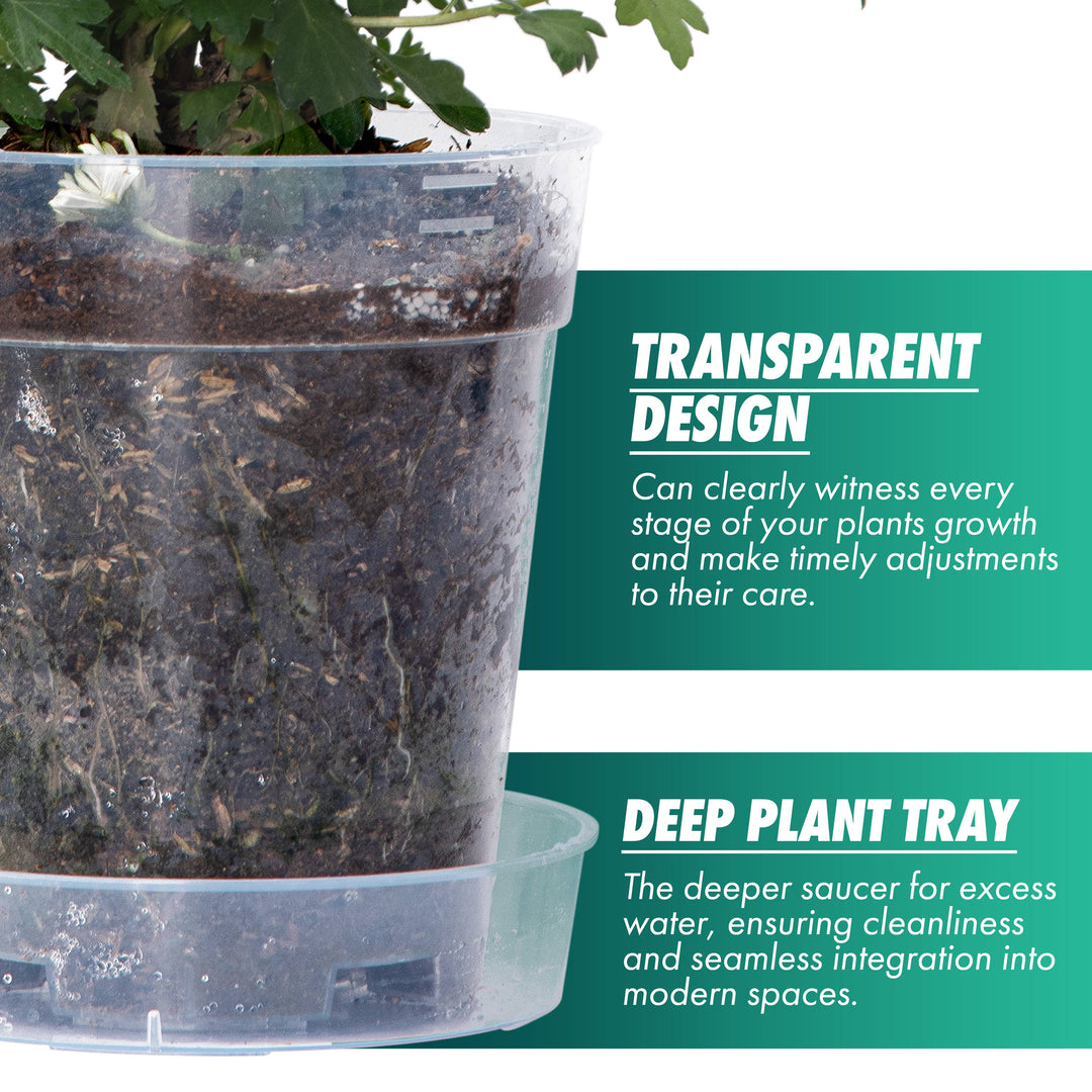 Clear Nursery Pot with an Interlocking Saucer, 6.5" X 7"