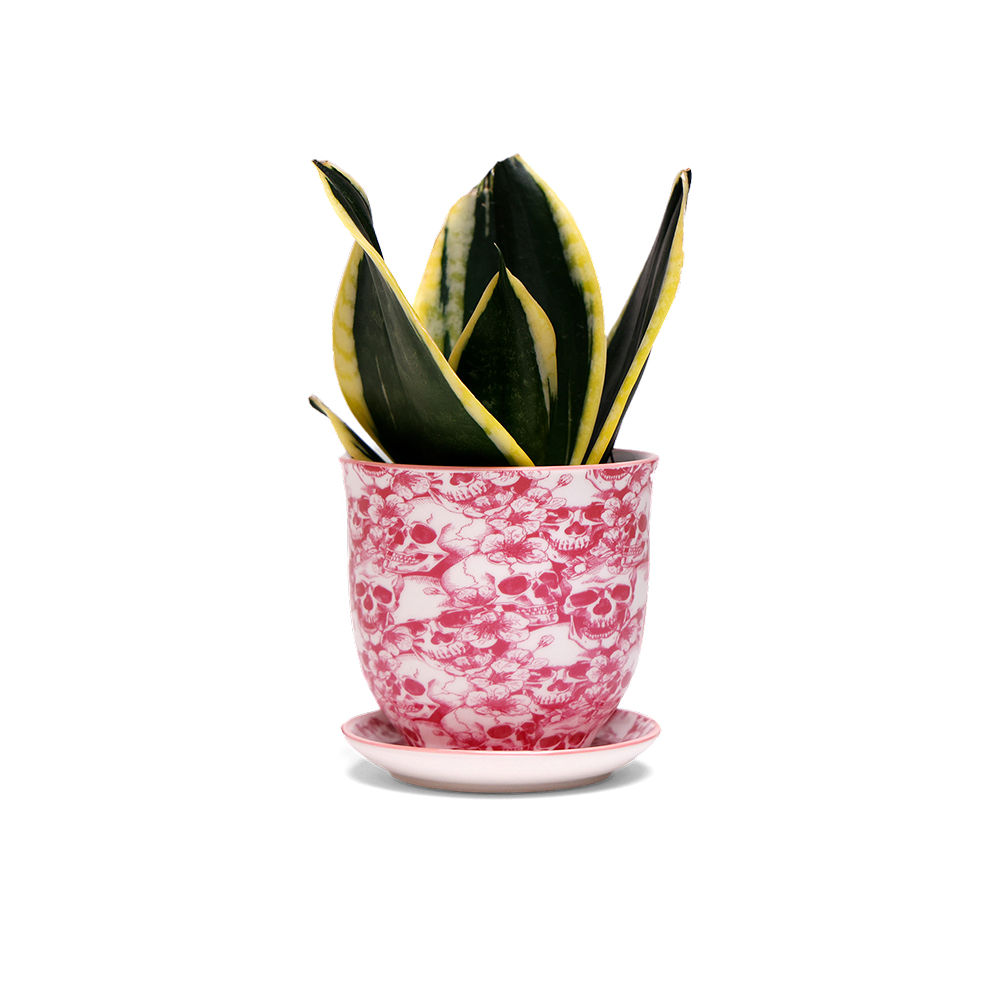 Liberte Ceramic Planter Modern 3 Inch Planter