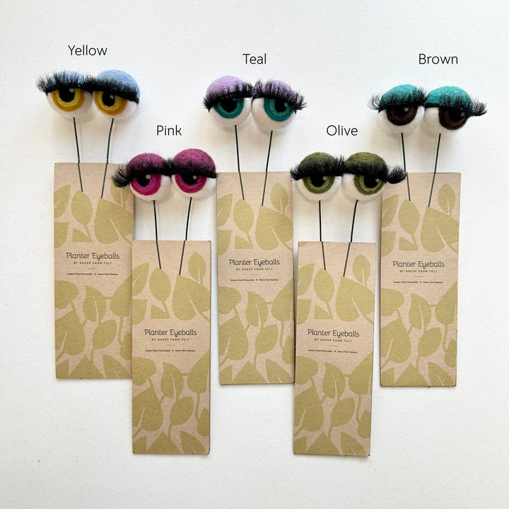 Felted Wool Planter Eyeballs with Eyelashes 