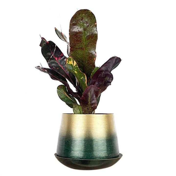 Joe Metal Flower Pots Plant Pot Decoration Bulk Kits