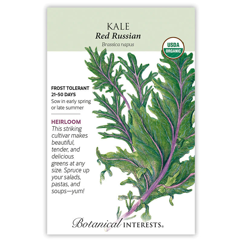 Kale Red Russian Org
