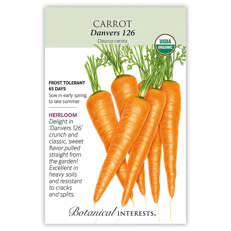 Carrot (orange) Danvers 126 Seed