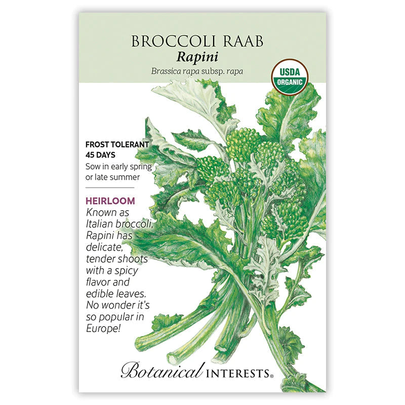 Broccoli Raab Rapini Org – Little Red Nursery, LLC