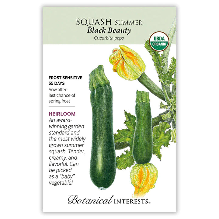 Squash Summer Costata Romanesco Org