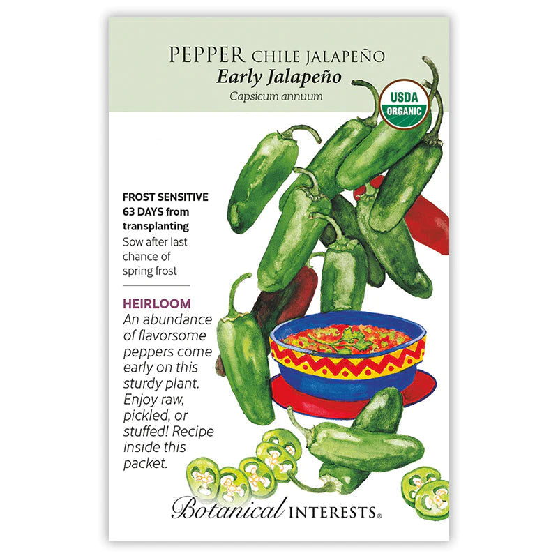 Pepper Chile Jalapeno Early Org