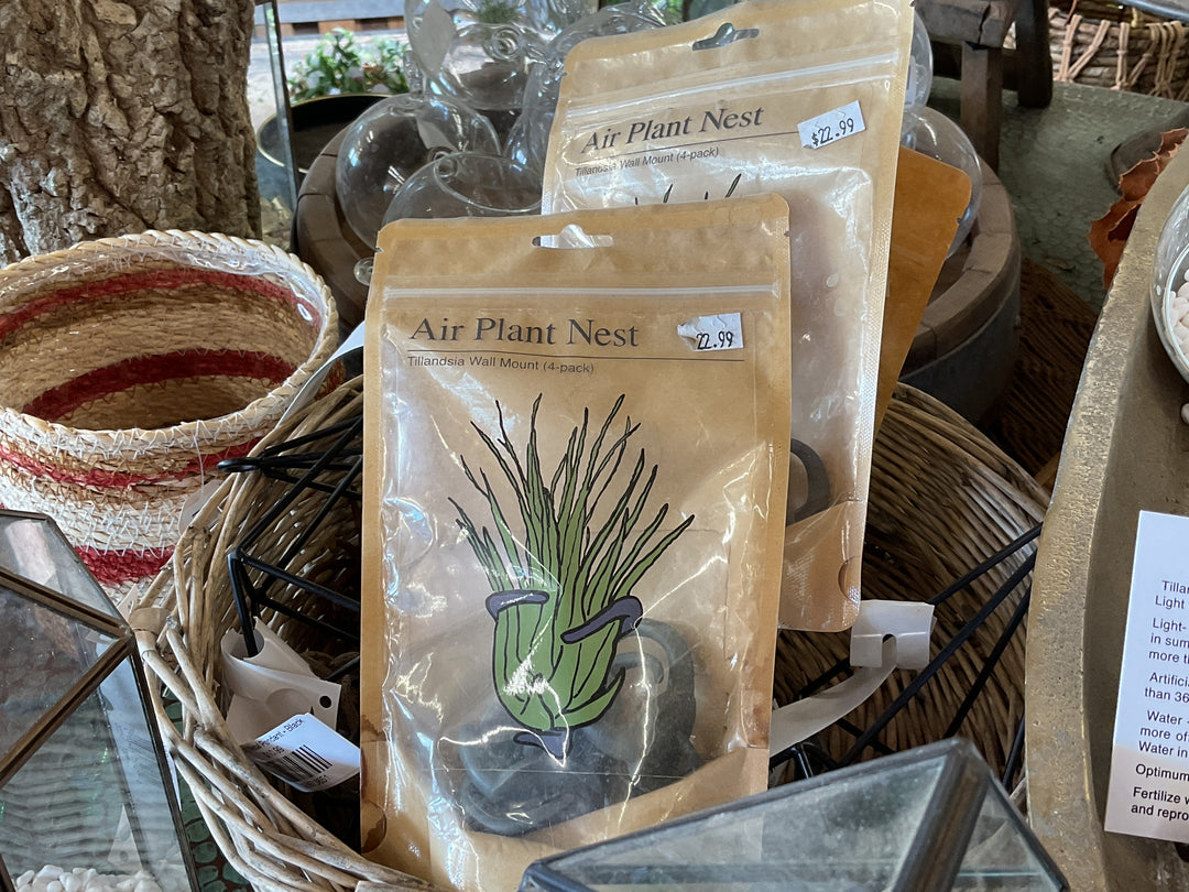 AIR PLANT NEST