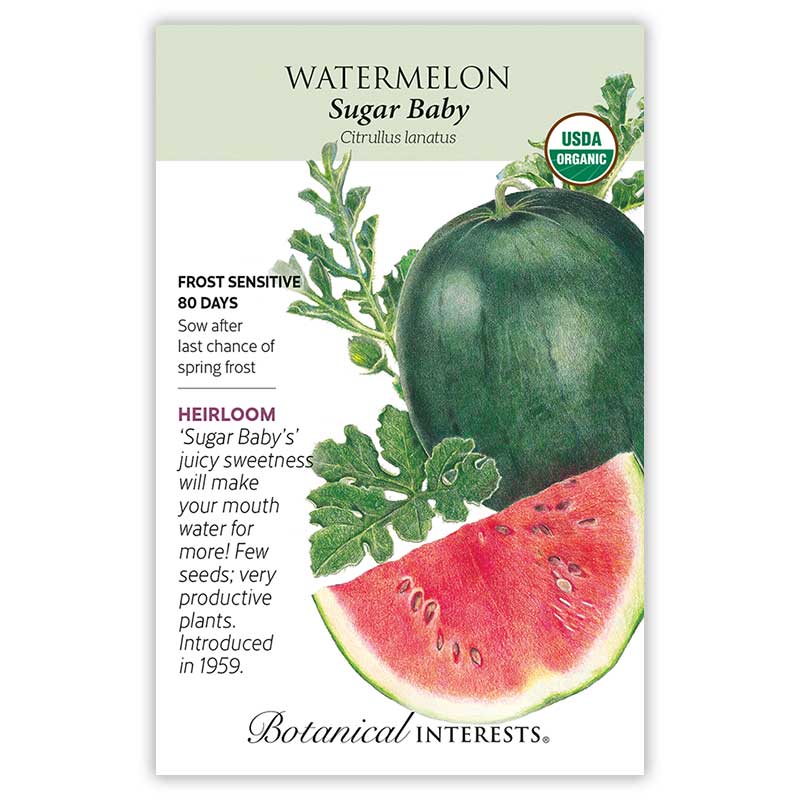 Watermelon Sugar Baby Org