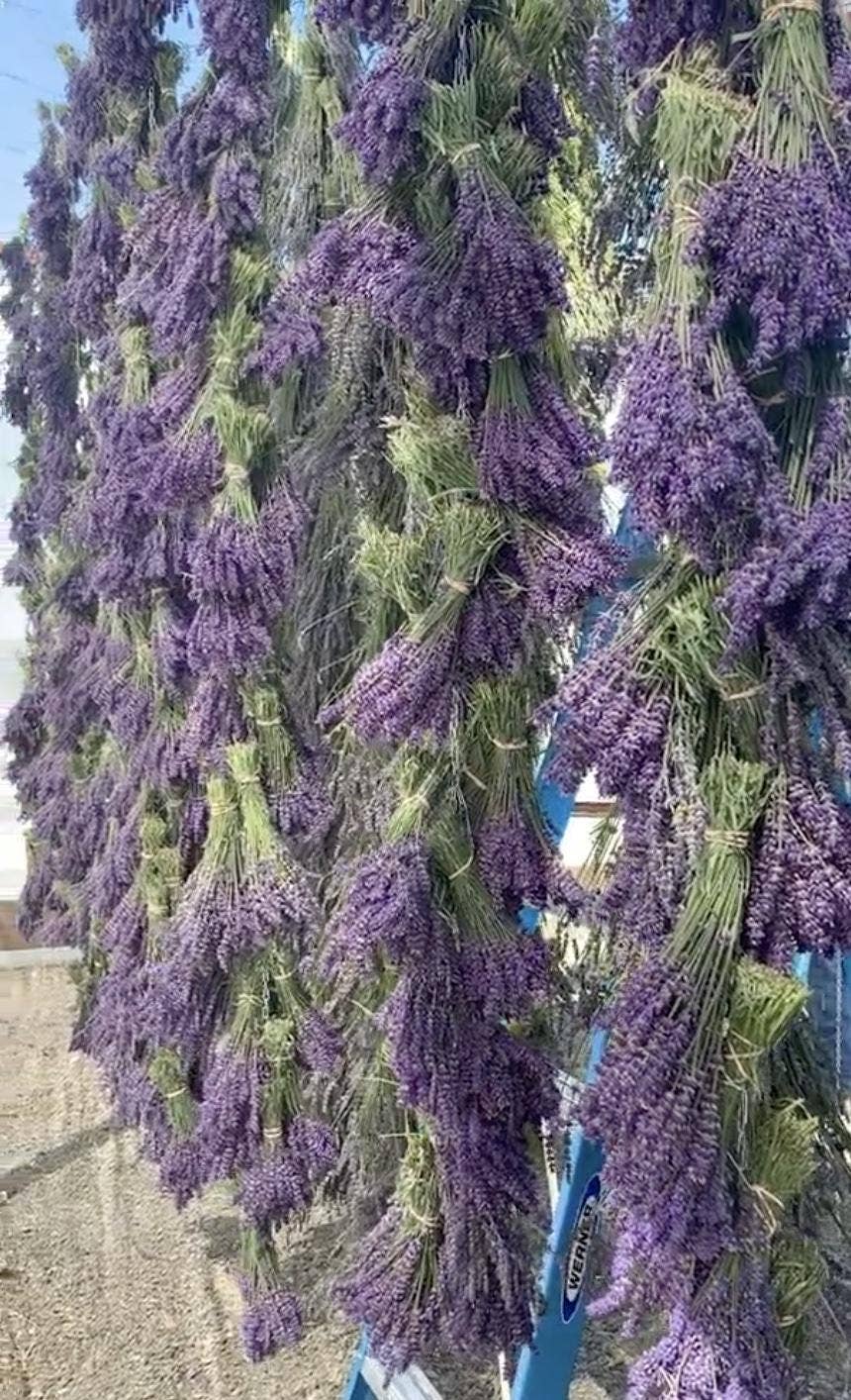 Fragrant Lavender Sachet Bag