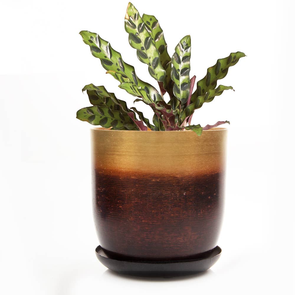 Joe Metal Flower Pots Plant Pot Decoration Bulk Kits