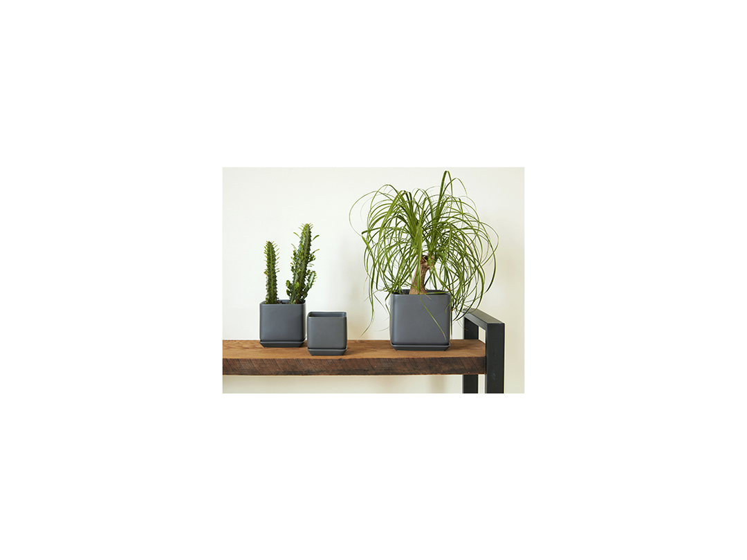 Cube Planter w Attached Saucer