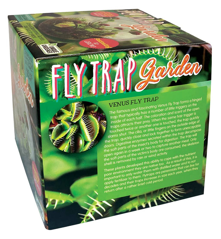 Flytraps Glass Terrarium Seed Kit