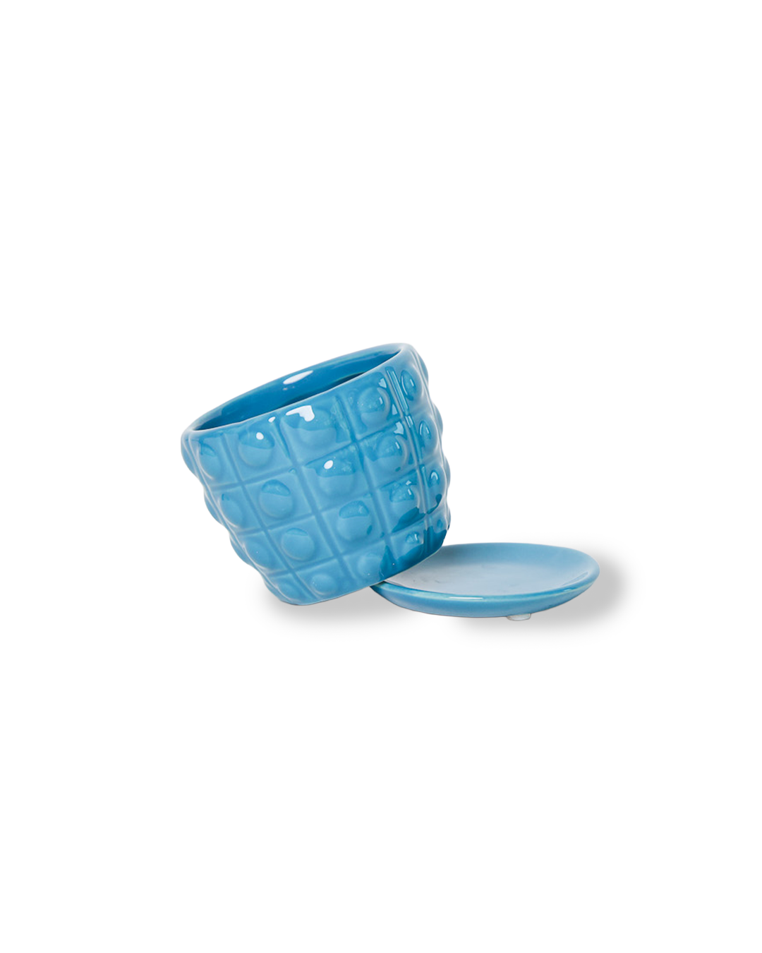 Convex Planter For Succulents And Cactus Pot With Saucer