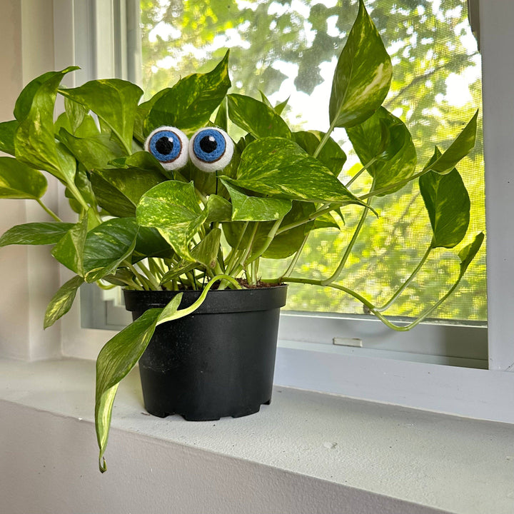 Felted Wool Plant Eyeballs