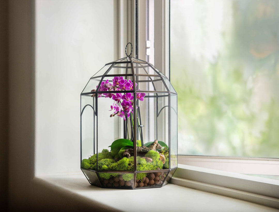 Solarium Glass Terrarium
