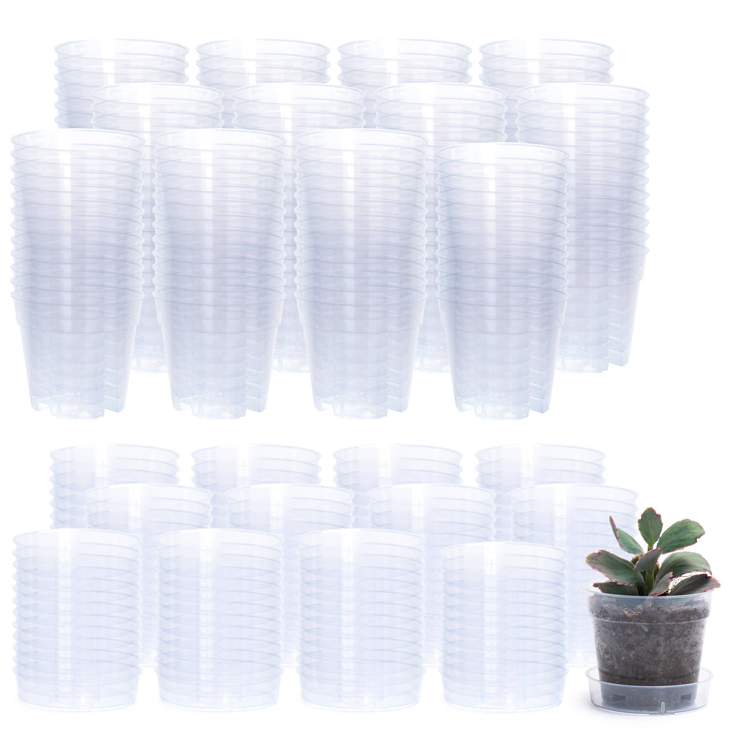 Clear Nursery Pot with an Interlocking Saucer, 4" X 3.5"