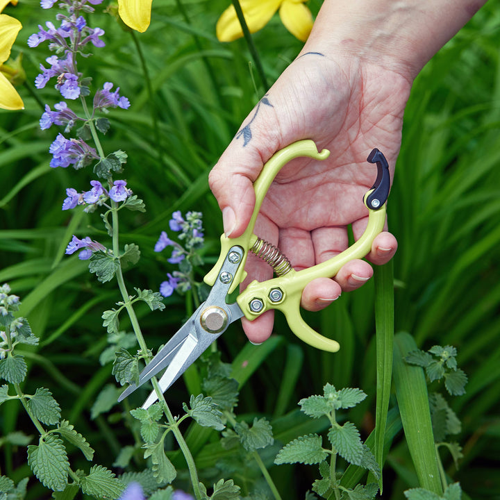 Garden Shears  - New Colors!