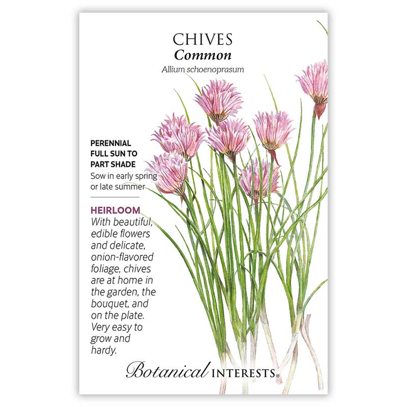 Chives Common Seed