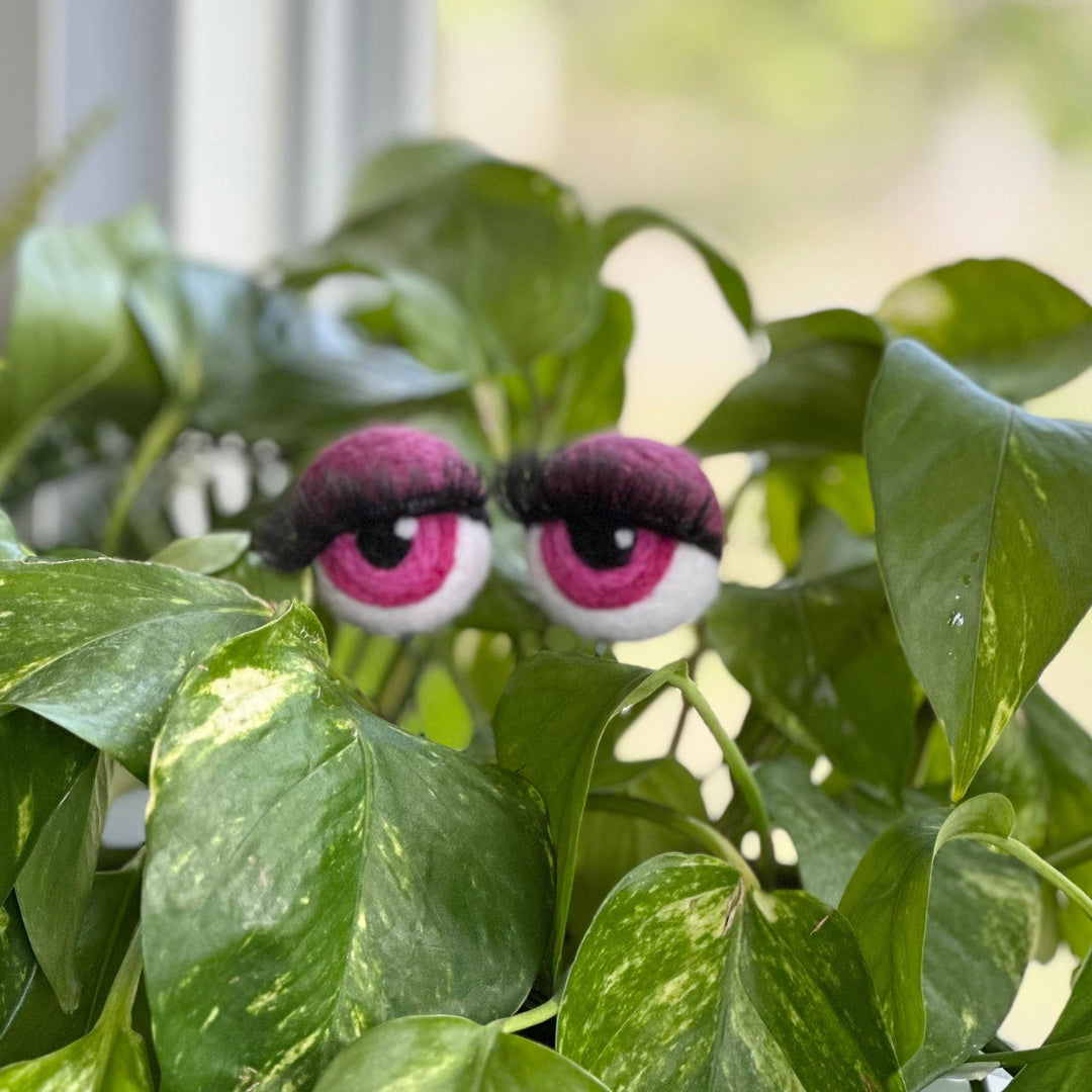 Felted Wool Planter Eyeballs with Eyelashes 