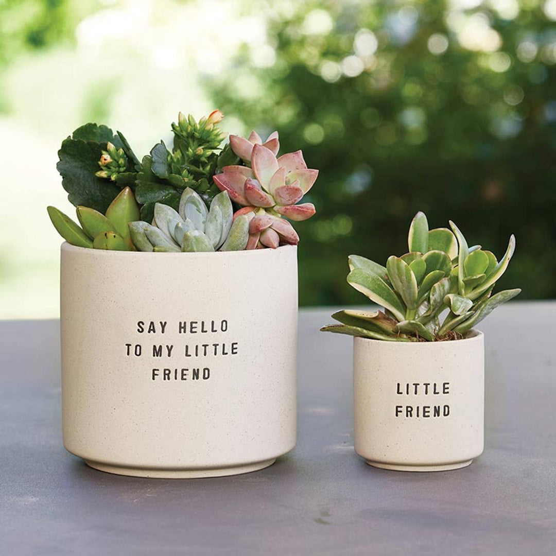 Ceramic Planting Pots - Choice of 2