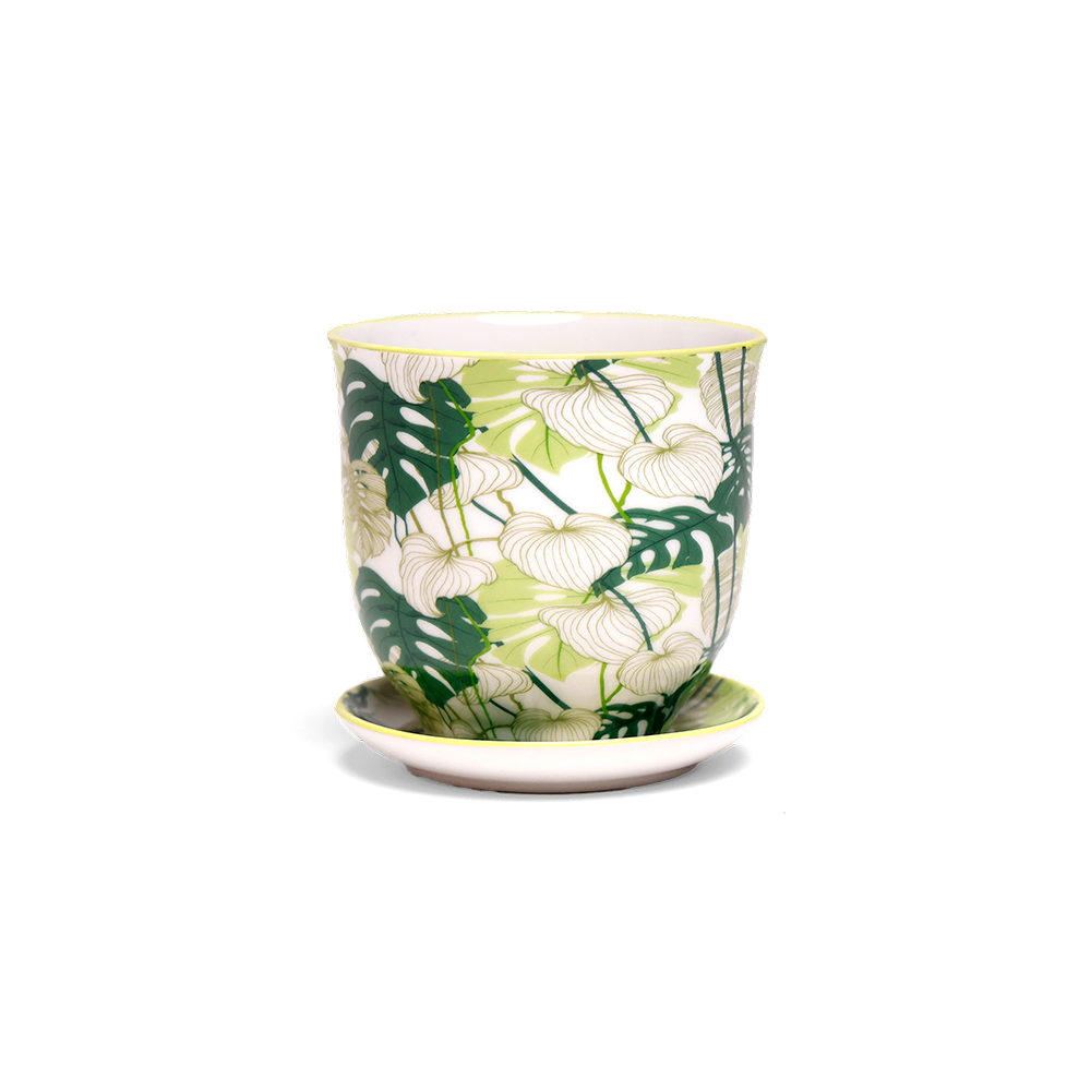 Liberte Indoor Porcelain Succulent Plant Pot 3 Inch Monstera