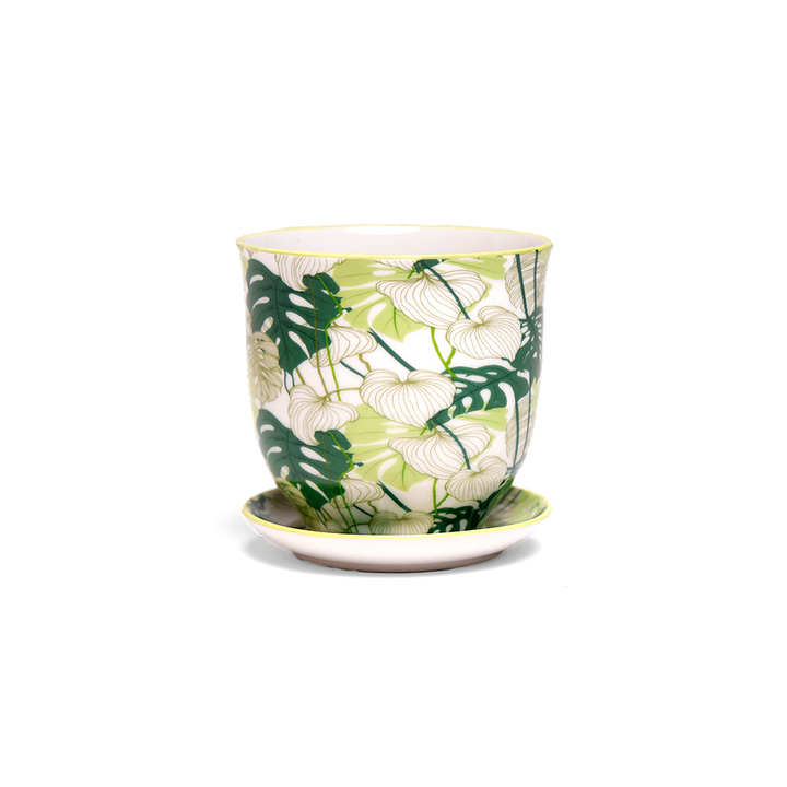 Liberte Indoor Porcelain Succulent Plant Pot 3 Inch Monstera